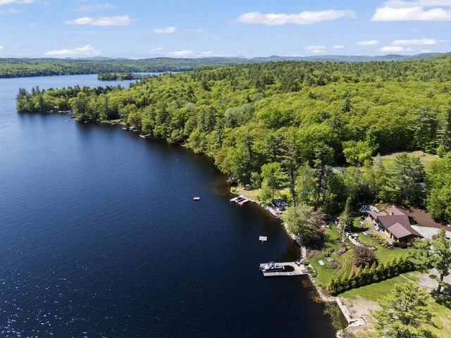 134 Zakelo Rd, Harrison, ME 04040 - aerial overview of property's location featuring a forest and a nearby body of water