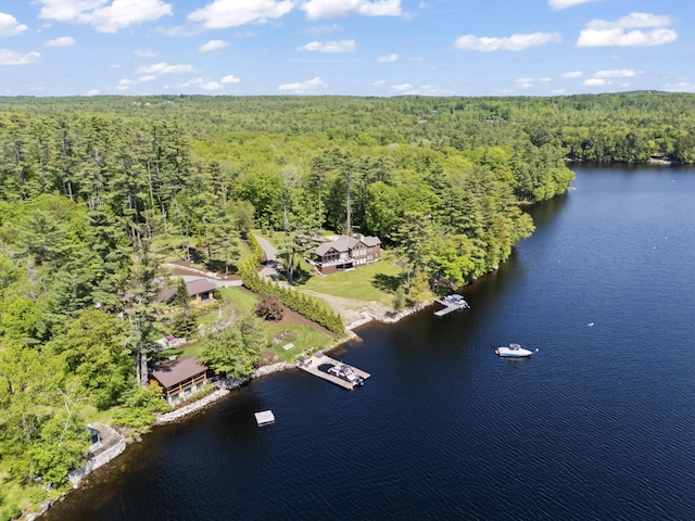 134 Zakelo Rd, Harrison, ME 04040 - drone / aerial view of a forest and a large body of water