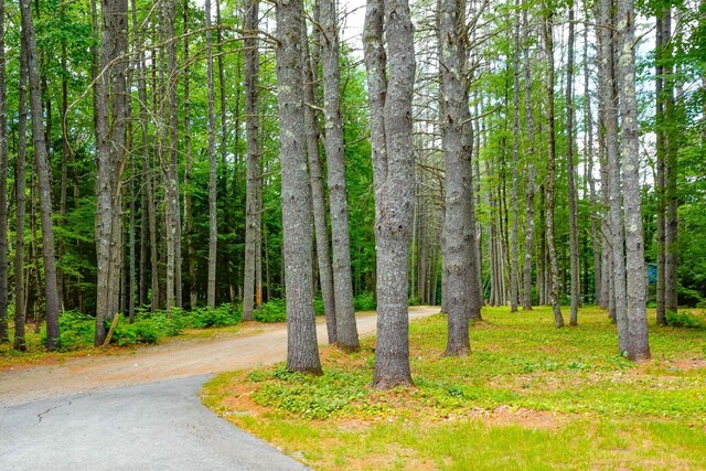 501 W Lovell Rd, Lovell, ME 04051 - photo 10
