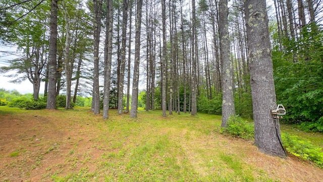 501 W Lovell Rd, Lovell, ME 04051 - photo 37
