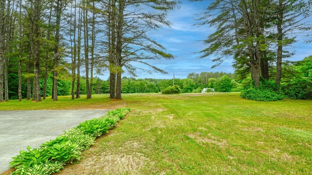 501 W Lovell Rd, Lovell, ME 04051 - photo 38