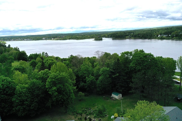 16 Steamboat St, Calais, ME 04619 - drone / aerial view of a nearby body of water and a heavily wooded area