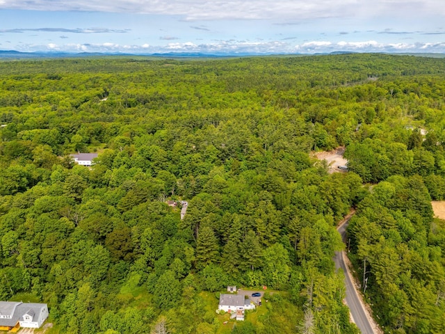 129 Lawrence Rd, Gray, ME 04039 - drone / aerial view of a heavily wooded area