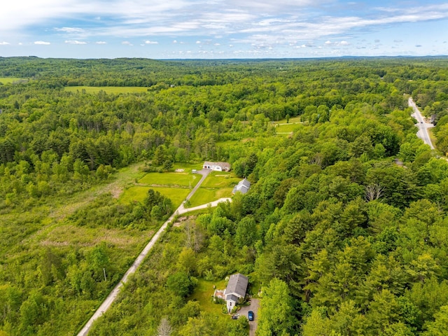 129 Lawrence Rd, Gray, ME 04039 - bird's eye view of a forest