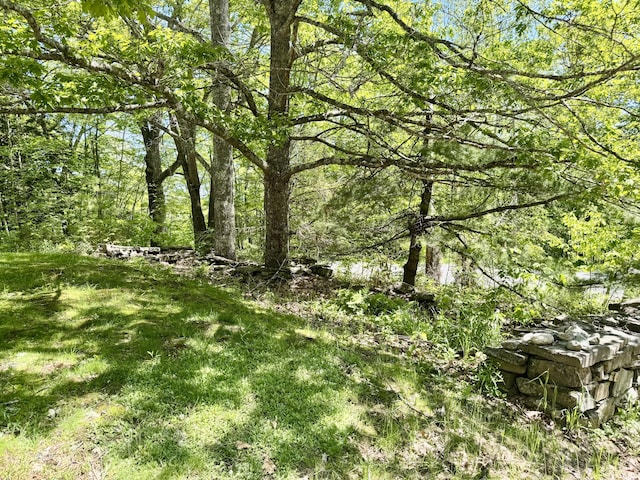 323 Main St S, Searsmont, ME 04973 - view of yard featuring a forest view