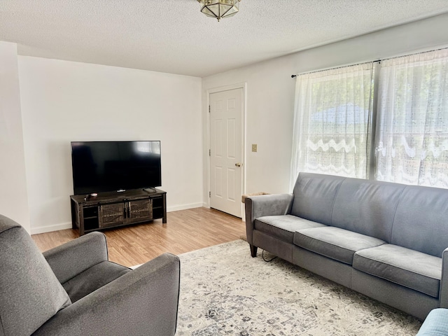 323 Main St S, Searsmont, ME 04973 - living area with wood finished floors, a textured ceiling, and baseboards
