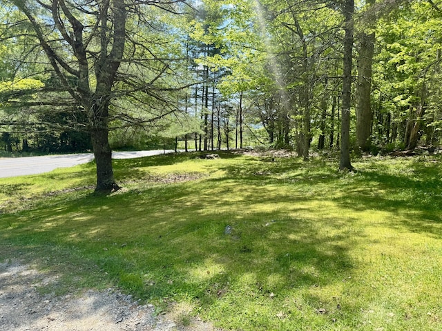 323 Main St S, Searsmont, ME 04973 - view of grassy yard