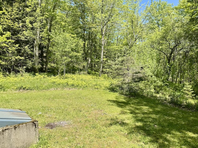 323 Main St S, Searsmont, ME 04973 - view of green lawn