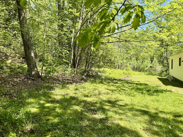 323 Main St S, Searsmont, ME 04973 - view of grassy yard