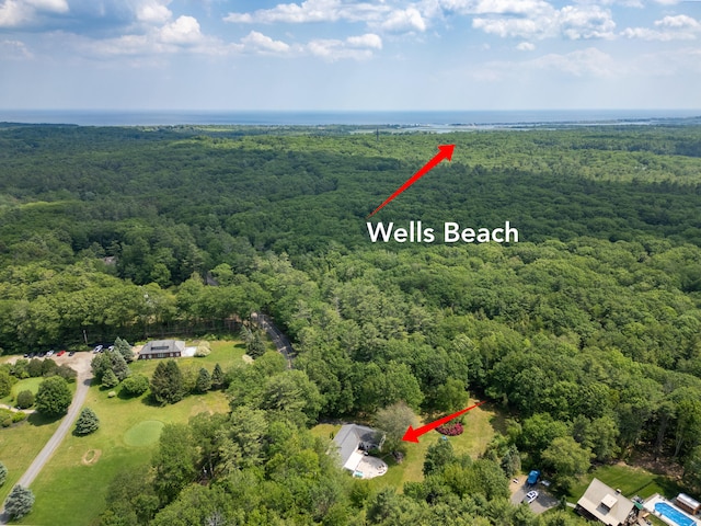 496 Coles Hill Rd, Wells, ME 04090 - bird's eye view of a heavily wooded area