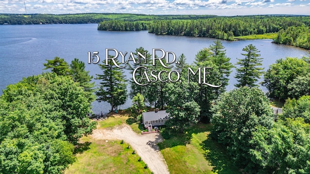 15 Ryan Rd, Casco, ME 04015 - photo 1