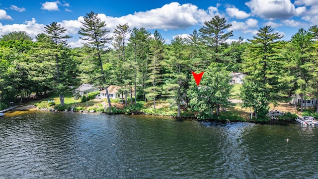 15 Ryan Rd, Casco, ME 04015 - photo 58