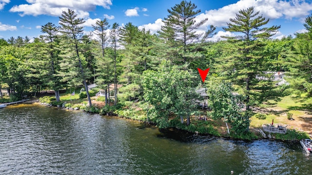 15 Ryan Rd, Casco, ME 04015 - photo 62