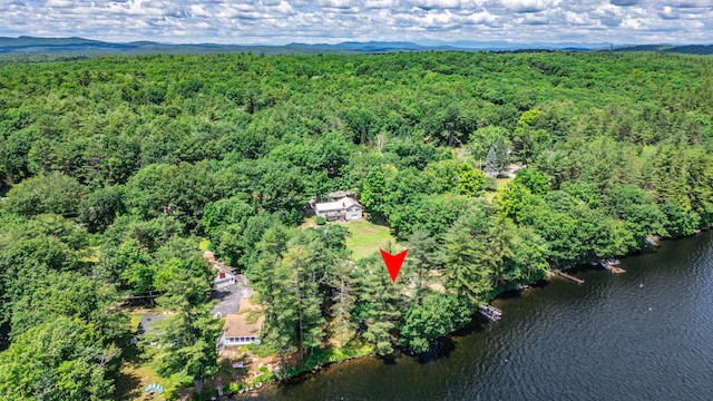 15 Ryan Rd, Casco, ME 04015 - photo 65