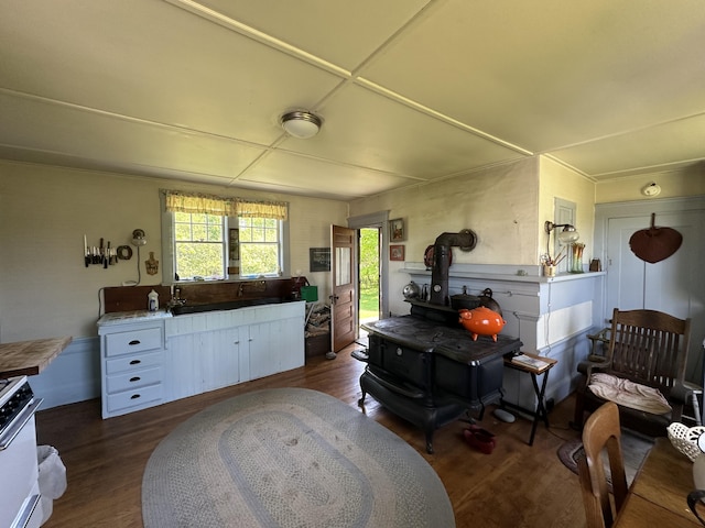 87 N Rd, Matinicus Isle Plt, ME 04851 - living room featuring a wood stove, dark wood finished floors, and healthy amount of natural light