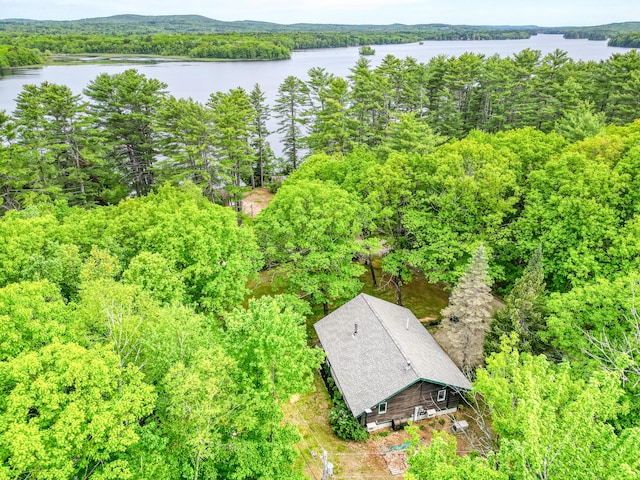 14 Greenleaf Ln, Monmouth, ME 04259 - aerial view of a large body of water and a forest