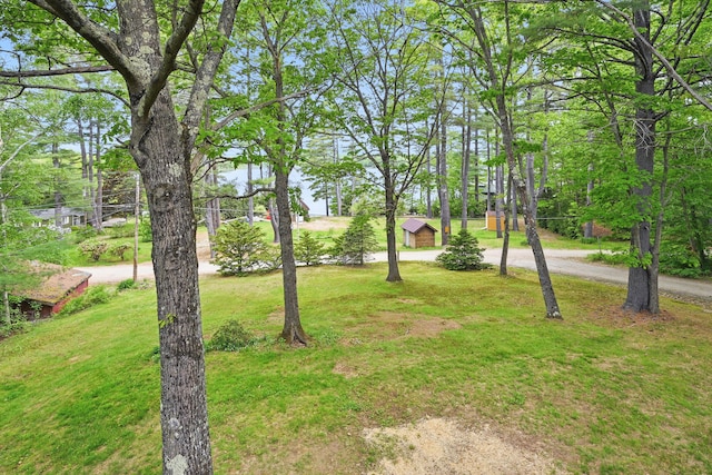 14 Greenleaf Ln, Monmouth, ME 04259 - view of green lawn with driveway