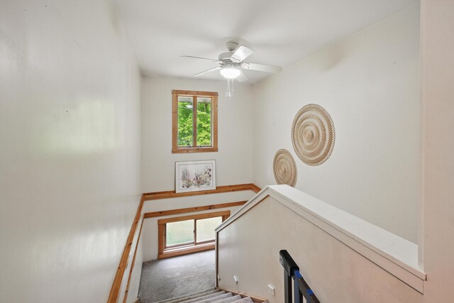 14 Greenleaf Ln, Monmouth, ME 04259 - stairs featuring a ceiling fan and carpet