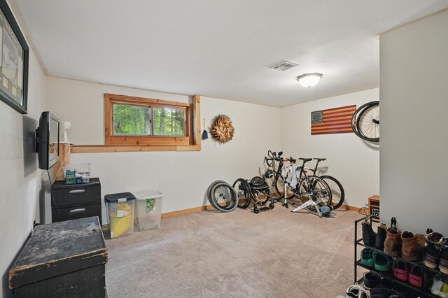 14 Greenleaf Ln, Monmouth, ME 04259 - workout area with carpet and baseboards