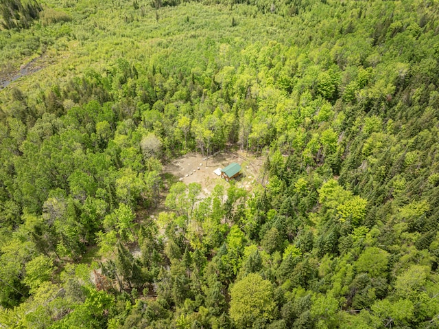 105 Gales Rd, Abbot, ME 04406 - view from above of property featuring a heavily wooded area