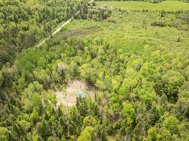 105 Gales Rd, Abbot, ME 04406 - bird's eye view of a forest