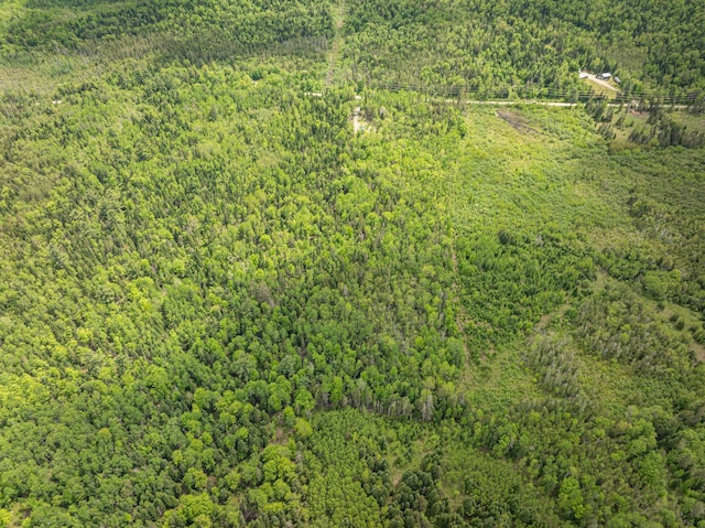 105 Gales Rd, Abbot, ME 04406 - bird's eye view of a heavily wooded area