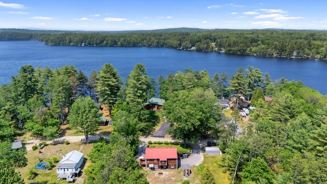23 E Eleanor Ave, Standish, ME 04084 - view of property location featuring a heavily wooded area and a nearby body of water