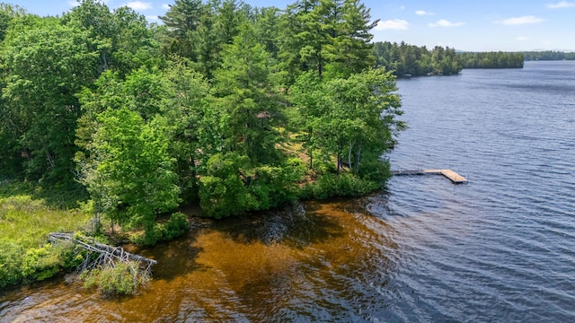 23 E Eleanor Ave, Standish, ME 04084 - water view with a heavily wooded area
