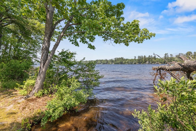 23 E Eleanor Ave, Standish, ME 04084 - water view