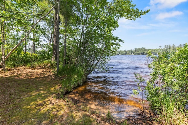 23 E Eleanor Ave, Standish, ME 04084 - water view
