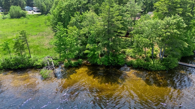 23 E Eleanor Ave, Standish, ME 04084 - water view