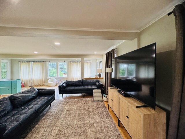 228 Mcburnie Rd, Presque Isle, ME 04769 - living room featuring light wood-style floors, ornamental molding, and recessed lighting