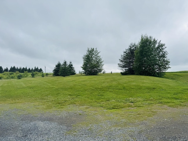 228 Mcburnie Rd, Presque Isle, ME 04769 - view of green lawn