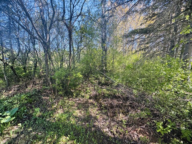 9 Beam St, Stockholm, ME 04783 - photo 5