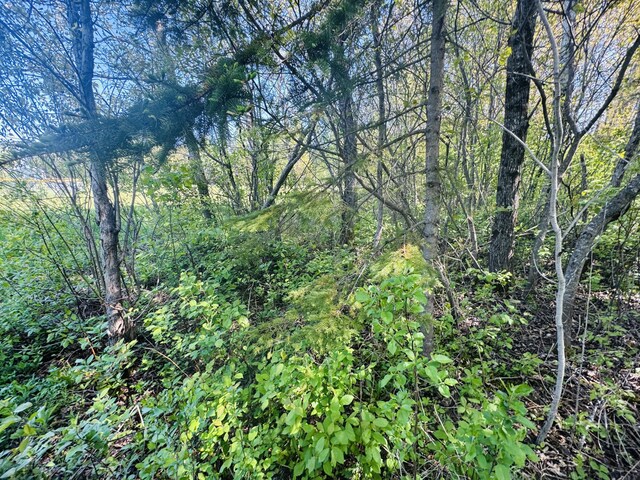 9 Beam St, Stockholm, ME 04783 - photo 6