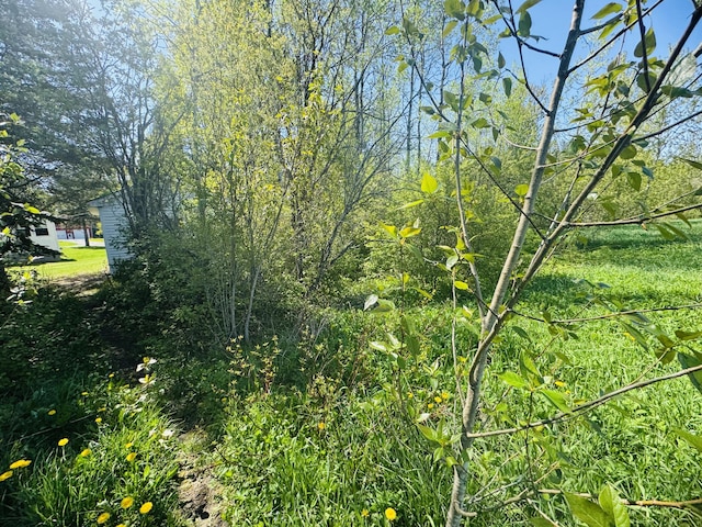9 Beam St, Stockholm, ME 04783 - photo 10