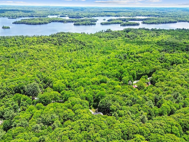 363 Winthrop Center Rd, Winthrop, ME 04364 - aerial view of a heavily wooded area and a large body of water