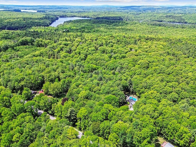 363 Winthrop Center Rd, Winthrop, ME 04364 - drone / aerial view of a forest and a large body of water