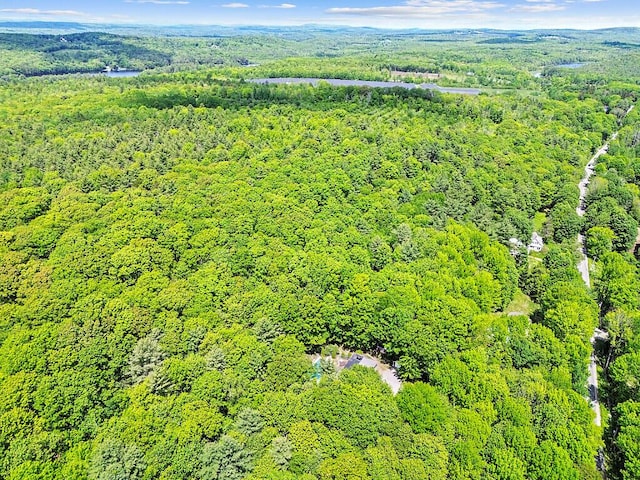 363 Winthrop Center Rd, Winthrop, ME 04364 - drone / aerial view of a heavily wooded area