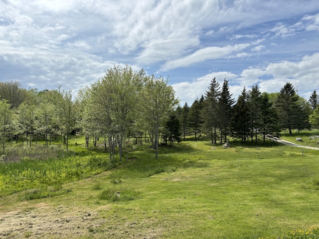 25 Raccoon Rd, Cushing, ME 04563 - view of yard