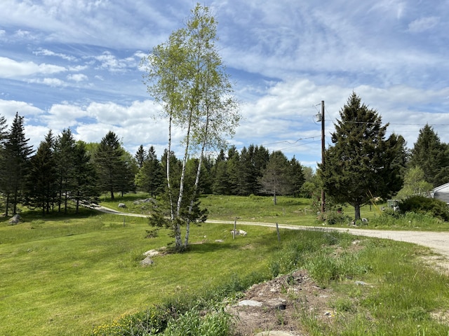 25 Raccoon Rd, Cushing, ME 04563 - view of grassy yard