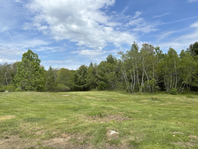 25 Raccoon Rd, Cushing, ME 04563 - view of green lawn featuring a view of trees