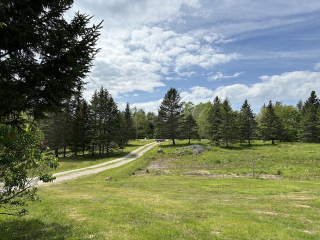 25 Raccoon Rd, Cushing, ME 04563 - view of yard