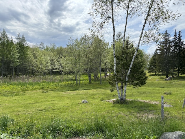 25 Raccoon Rd, Cushing, ME 04563 - view of yard with a forest view