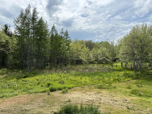 25 Raccoon Rd, Cushing, ME 04563 - view of woods