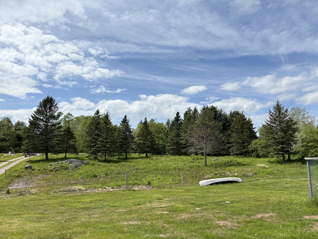 25 Raccoon Rd, Cushing, ME 04563 - view of yard
