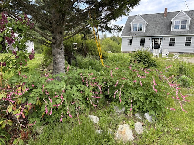 25 Raccoon Rd, Cushing, ME 04563 - view of yard