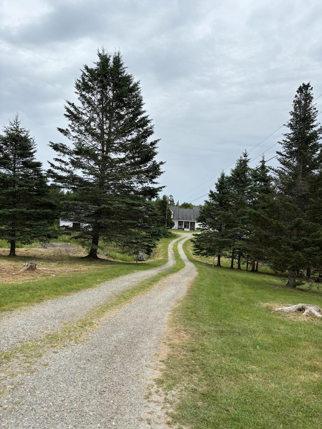 25 Raccoon Rd, Cushing, ME 04563 - view of dirt / gravel driveway