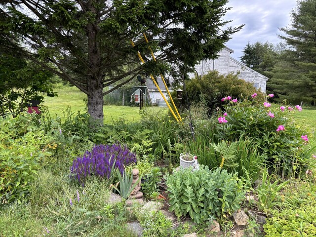 25 Raccoon Rd, Cushing, ME 04563 - view of yard