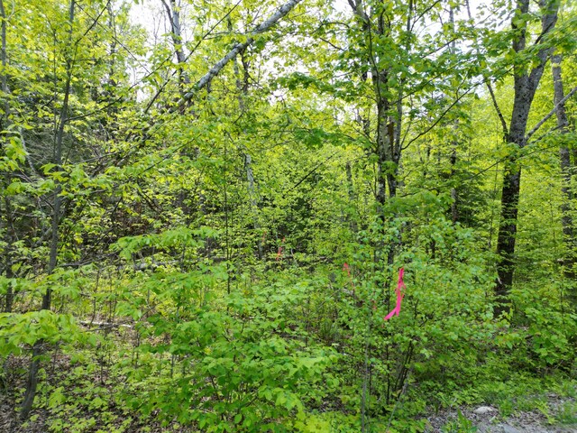 LOT12-1A Hale Farm Rd, Lee, ME 04455 - photo 5